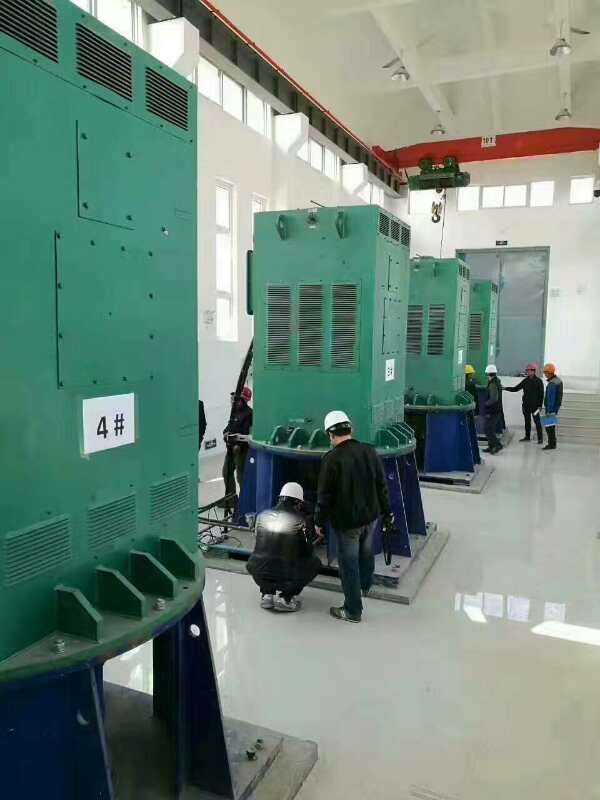 YKK5601-2GJ某污水处理厂使用我厂的立式高压电机安装现场